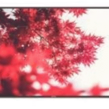 هایسنس 32 اسمارت